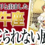 「絶対に見て」 レベルが違います…!!牡牛座が今進めない意味をすべて占いました【タロット占い】Akari先生