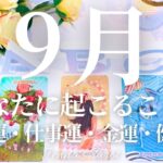 🌈重要🌈【2025年9月運勢🐿️】9月あなたに起こること💫恋愛運・仕事運・金運・健康運・テーマ・アドバイス【タロット🌟オラクルカード】片思い・復縁・出会い・人生・未来・転職・人間関係・対人関係・悩み