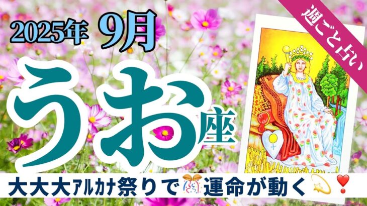 【うお座9月】大大大アルカナ祭り開幕🌈🎊豊かさと飛躍を手にする最終チャレンジ‼️🔮タロット&オラクル《週ごと》