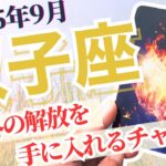 【予想外の解放を手に入れるチャンスが巡ってきます🙌🏼💖✨しっかり受け取っていきましょう✊🏼🎶】🔮双子座2025年9月タロットリーディング🔮
