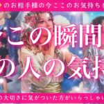 【最新✨恋愛💖】今この瞬間のあの人のあなた様へのお気持ち🔮🦋的中率が高いと言われるルノルマンカードにタロットも併用しズバリ鑑定します✨