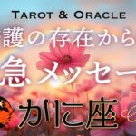 【かに座♋️Cancer】あなたを見護る存在から緊急です💌これは神がかってる👏過去最高のワクワクです🌈タロット＆オラクル／tarot＆Oracle card reading
