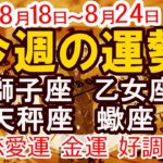 【今週の運勢 2025年8月18日から8月24日】獅子座 乙女座 天秤座 蠍座｜恋愛 金運 好調日 開運のポイント