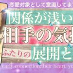 関係浅め🍀あの人の気持ち★可能性は？今あなたをどう思ってる？これから1年の流れと展開【タロット 恋愛 占い】No.606