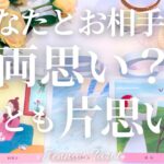 鳥肌級😳⚡️【恋愛❤️】あなたとお相手は両思い？片思い？【タロット🔮オラクルカード】あの人の気持ち・本音・片想い・復縁・音信不通・複雑恋愛・冷却期間・曖昧な関係・サイレント期間・カードリーディング