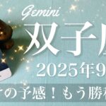 【ふたご座】2025年9月♊️ ふたご座さん…遂に始まる！もう我慢は終わり！舞い込むチャンス、ここからが本番