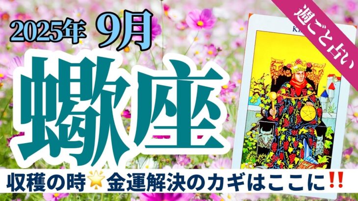 【蠍座9月】金運の流れが加速💰ペンタクル多めで迎える豊穣の収穫期🌾🌟🔮タロット&オラクル《週ごと》
