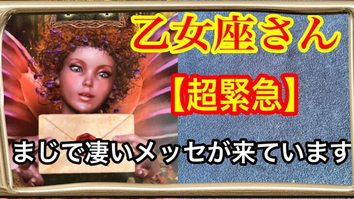 【目に止まった乙女座さんへ⚡️】８月の乙女座新月✨から９月も乙女座新月で😱本当にすごい時期にいます🩷ガッツリ読み解きました🃏