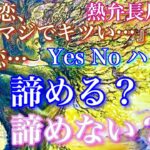 【🦋熱弁長尺鑑定💞】Yes /Noハッキリでます⚠️『この恋、マジでキツい…』諦める？諦めない？〜あの人の想いと本音〜🦋