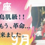 さすがに驚き。特別でした、とても。必ず最後のカードも見てください。【9月の運勢　山羊座】