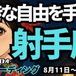 【射手座】♐️2025年8月11日の週♐️可能性が最大になる。チャレンジして行く先に、大きな自由を手にできる。いて座。タロットリーディング