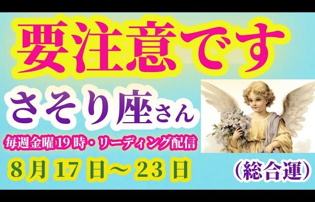 【蠍座】2025年8月17日から23日までのさそり座の総合運。#蠍座 #さそり座