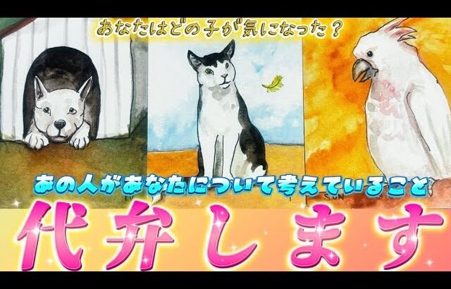 【ガチ透視】超正直なあの人の気持ち💗代弁します！リアルな本音❤️あなたに言いたいこととは？個人鑑定級✨タロット占い