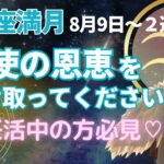 水瓶座満月🌕今月の【天使の恩恵】を必ず受け取って、上昇してください‼️