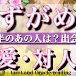 水瓶座♒︎8月後半の恋愛・人間関係&出会い💫タロットリーディングtarot  reading love &relationship