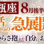 【水瓶座さん】2025年８月後半から９月前半の「みずがめ座」〜復活からの急展開！つらさ抱えた自分にお別れ〜