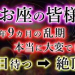 うお座の人、13年9か月の波乱《それもあと13日》神が財を運び始めた。魚座のこれからを解説。
