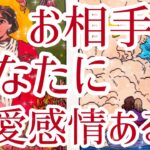 6択❤️お相手様はあなた様に恋愛感情ある？😳✨少し辛口あります⚠️恋愛タロット占い🔮