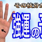 これから素晴らしい出来事が訪れる前兆の手相