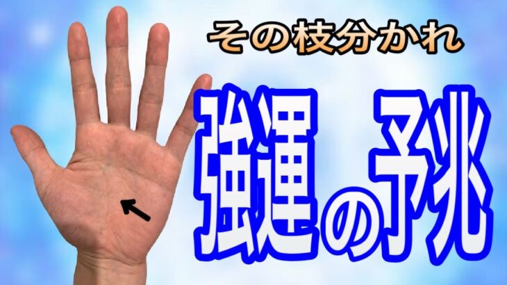 これから素晴らしい出来事が訪れる前兆の手相