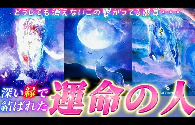 【胸熱💗】やっぱりあの人って運命の人⁉️深い縁を感じるあの人の気持ち・関係性・特徴　個人鑑定級✨タロット占い