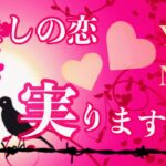 【Yes or No】その恋🩷実る？実らない？あなたが今するべき事とは…？🪽2222🪽