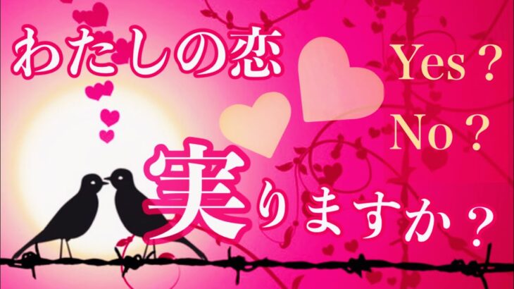 【Yes or No】その恋🩷実る？実らない？あなたが今するべき事とは…？🪽2222🪽