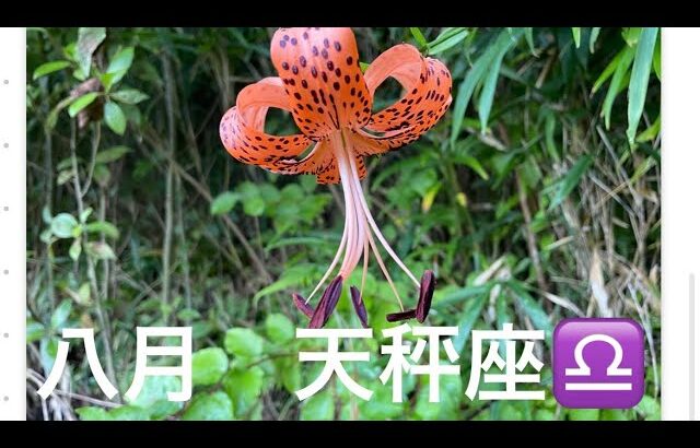 2025 年8月天秤座♎️全体運#占い #オラクルカード #恋愛 #タロット #天秤座