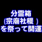 381回目ライブ配信　質問にお答えします！