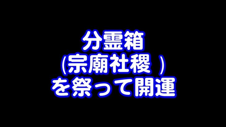381回目ライブ配信　質問にお答えします！