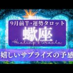 【蠍座】9月前半／意外な出来事がありそう！驚きのギフトも用意されてる！✨🕊🌠【タロット】【運勢】【占い】【さそり座】