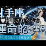 射手座🌏大逆転・流れが大変化㊗️停滞期が終わり加速する大変化‼️急展開メッセージ🌈【個人鑑定級】先読み深掘りリーディング#アファメーション#潜在意識#射手座