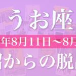【うお座】１週間の運勢（2025年8月11日〜8月17日）♓️ 抜けた！開ける視界、クリアになる未来、ハッピーエンドが見えて来る
