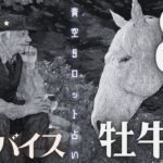 #牡牛座#タロット占い 【８月後半運勢】