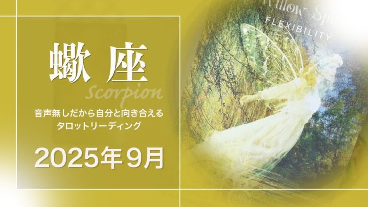 【さそり座】大きな変化の最中・人生のリセット？・しなやかでいる●2025年9月タロットリーディング【音声なし】【蠍座】