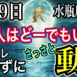 水瓶座満月2025年8月9日動き出すとき‼️望みが次々と叶う！過去の自分を脱皮して魂の望む世界へ【COCORO Platinum】