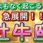 牡牛座 【 おうし座 ♉ 】( 見た時がタイミング ) 驚愕の神展開‼︎信じられない展開が始まる✨🔑 牡牛座 2025 タロット占い ✨ タロット&オラクルカードリーディング