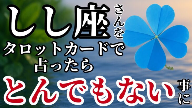 【しし座】2025年8月✨️タロットが語った！全身から力が抜けるほどの展開！※表示されたら8秒以内に見て下さい【2025年運勢】