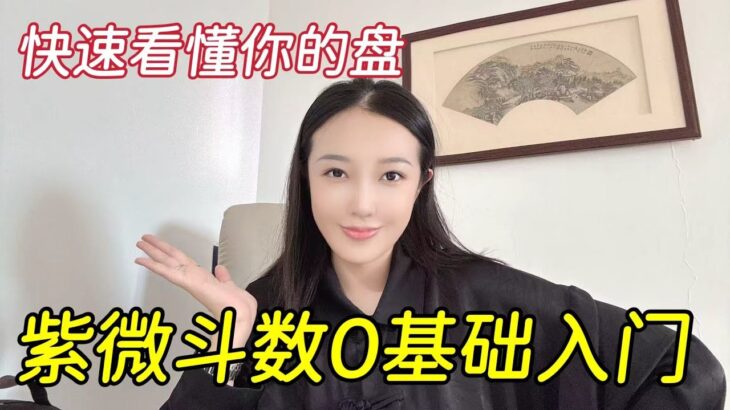 紫微斗数0基础入门，快速看懂你的盘！竹竹｜紫微斗数