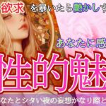 【4万名様感謝❤️】どうしてそうなった⁉️動画内でお相手急変⚠️癖強フェチand妄想が詳しすぎたので理解のある大人限定でご視聴お願いします🔞