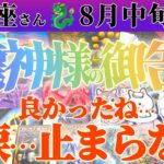 【射手座♐️8月中旬】…射手座さん良かったね…！どんなに霊格が高くても本当に欲しいものはこれなんだね　✡️キャラ別鑑定付き✡️　#タロット占い
