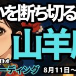 【山羊座】♑️2025年8月11日の週♑️迷いを断ち切れ。強い力があるのだから。心ときめく方に向って。やぎ座。タロットリーディング