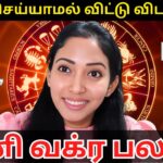 SANI VAKRA PALAN 2025 – ASTROPSYCHOLOGY – Jeevitha Meyyappan