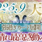 【てんびん座さん👑】９月あなたに起こること🔮最高ーー❗️👏✨すごい結果でしたよ‼️情熱的に成功を掴みに行く天秤座さん💫【タロット・ルノルマン・オラクルカードリーディング】
