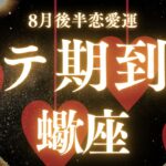 【10分でわかる！】2025年8月後半【蠍座】恋愛運【あなたのモテ期はズバリ！？】をタロット×占星術で忖度なし！本音リーディング