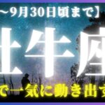 【牡牛座♉️現在〜9月後半】ここが運命の分かれ道！✨あなたは運命の輪を右と左、どちらに回しますか？（タロットリーディング）