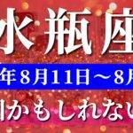 水瓶座 【 みずがめ座 ♒ 】週間リーディング( 2025年 8月11日の週) 奇跡の吉報再来で収穫期に突入✨🔑 水瓶座 2025年8月 タロット占い
