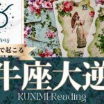 牡牛座♉あと7日で起こる大逆転🍀どんな？🍀アドバイス🌝月星座おうし座さんも⭐タロット⭐オラクルカード⭐ルノルマンカード