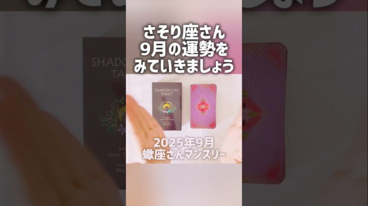 【蠍座】蠍座さんの未来おもしろすぎ!!!❤️😳😳😳【９月】 #shorts #占い