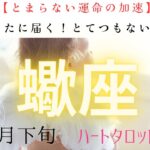 【止まらない運命の加速❣️】蠍座　あなたに届く　とてつもない連絡　8月下旬ハート❤️タロット#タロットカード#タロット#運勢#8月#恋愛#占い#タロット占い#さそり座